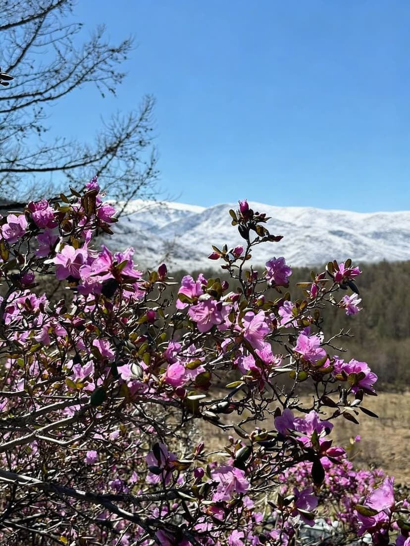 Тгк Путь Странника Промо3