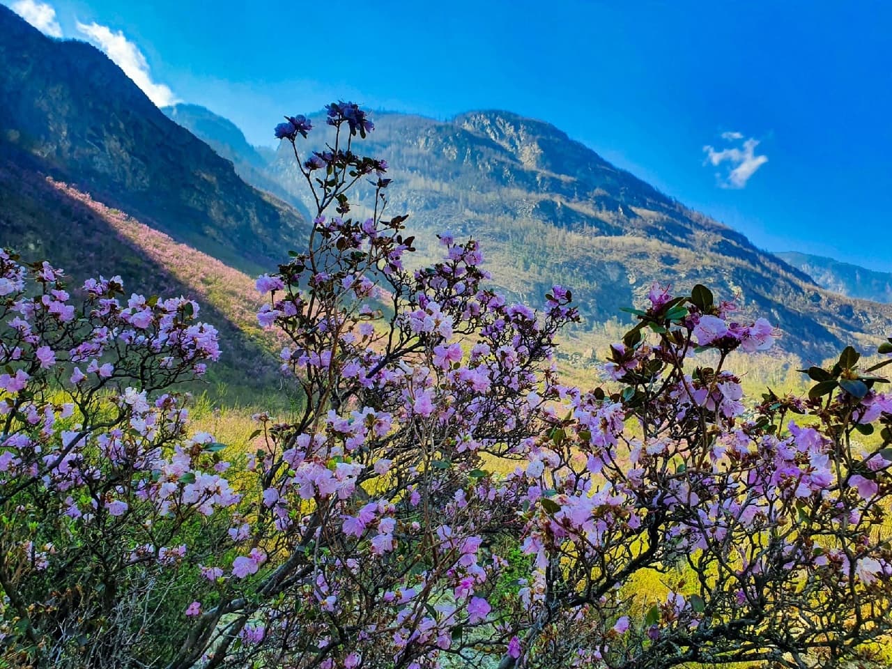 Путь странника