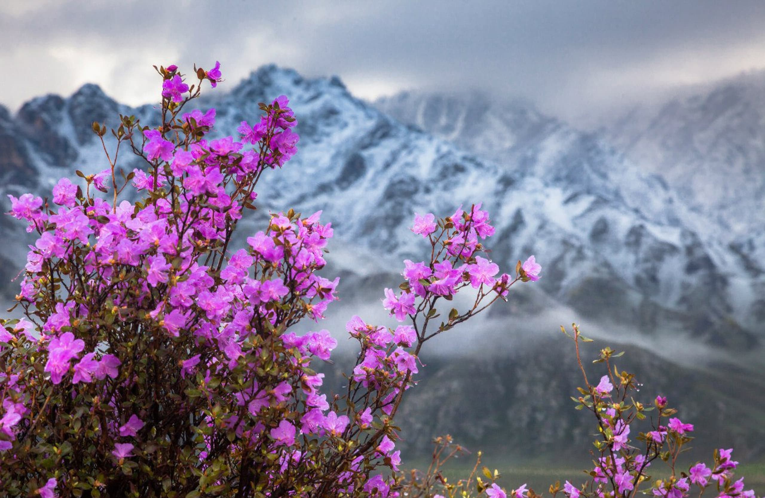 Путь странника