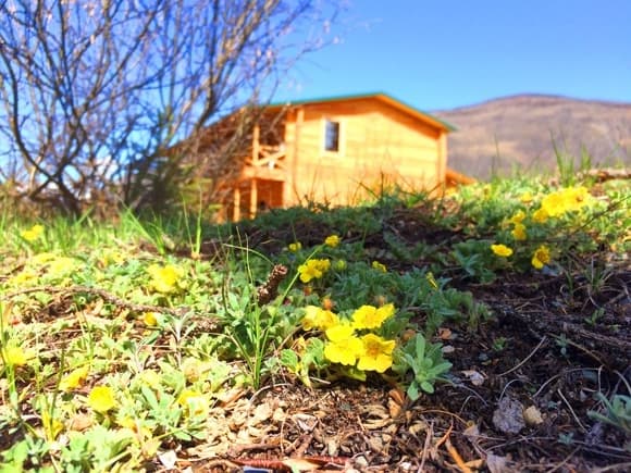 База отдыха Зеленый колобок