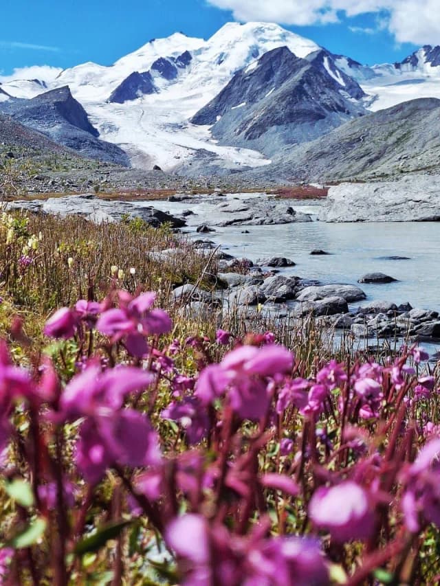 Ледяное сердце Алтая — Софийский ледник