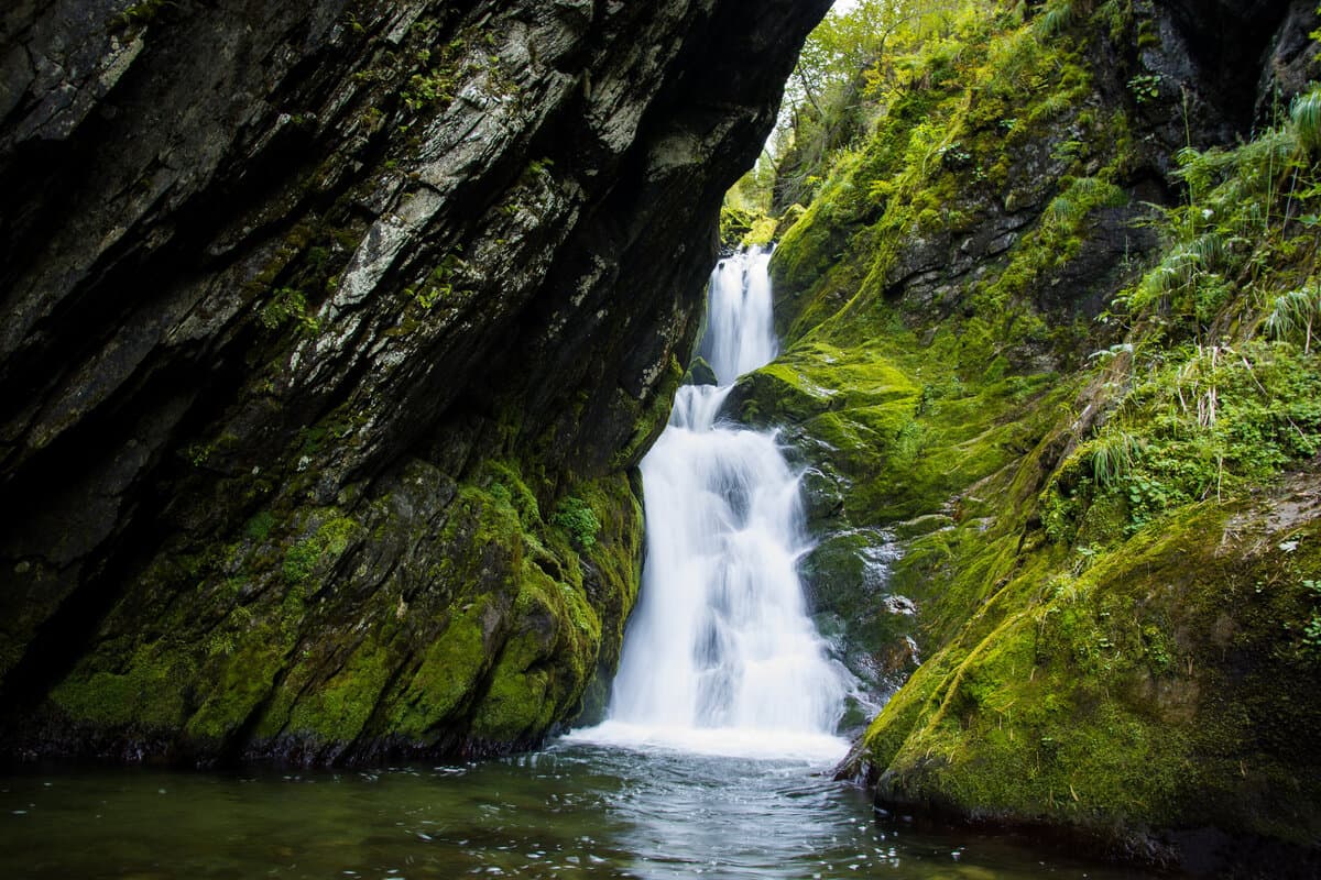 Энергия Алтая